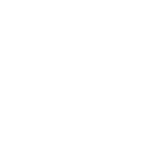 Levante Consulting Group